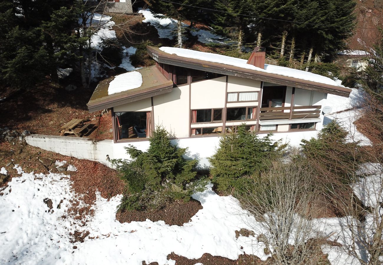 Chalet in La Bresse - Chalet de Belle-Hutte