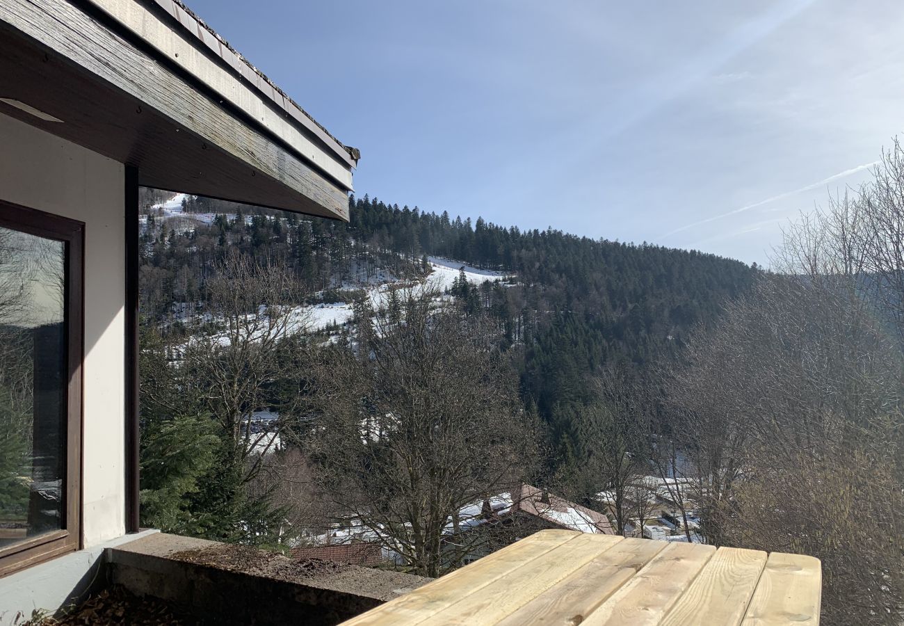 Chalet in La Bresse - Chalet de Belle-Hutte