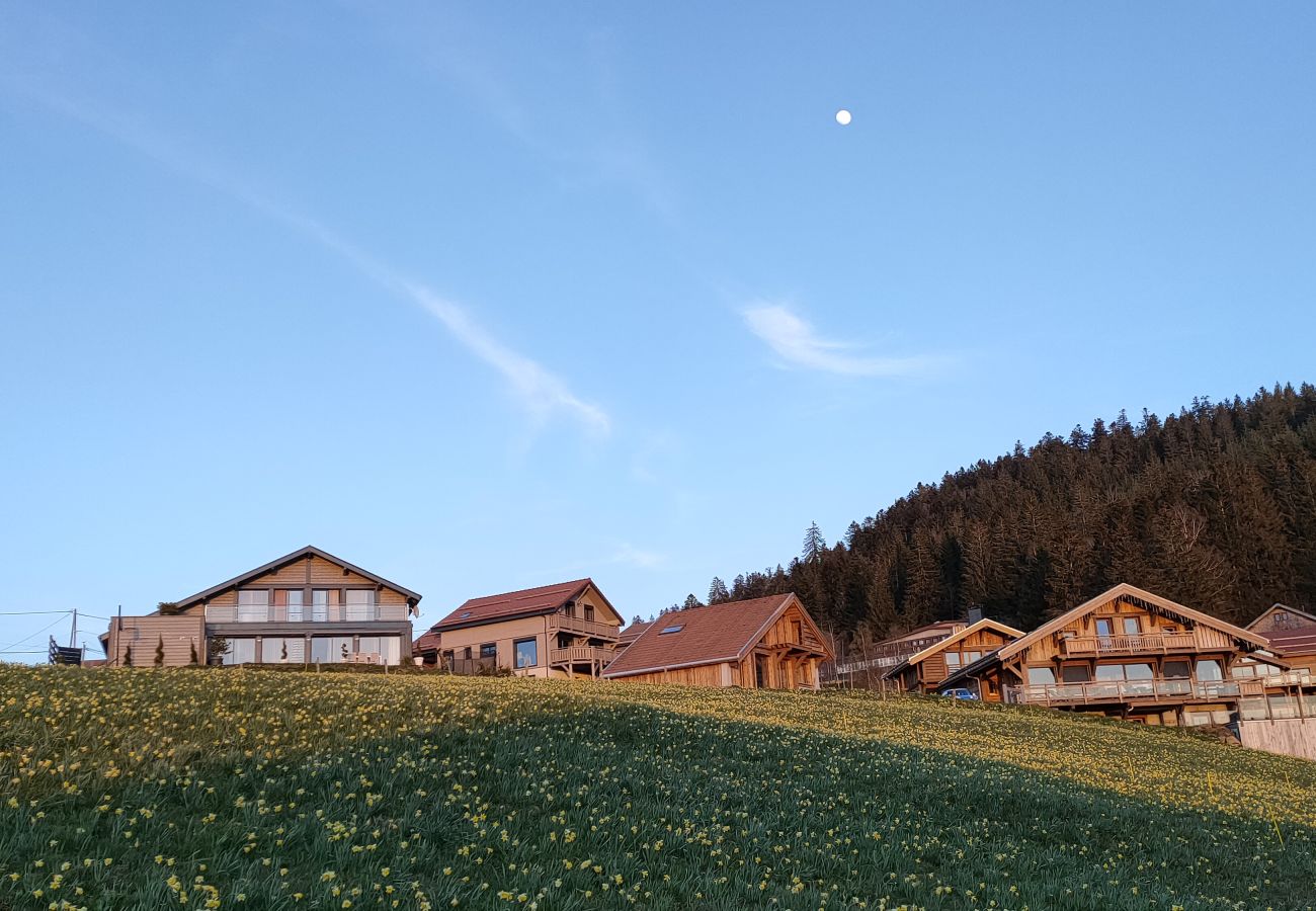 Chalet in Gérardmer - Chalet 360° l'Essenti'Aile, pistes La Mauselaine