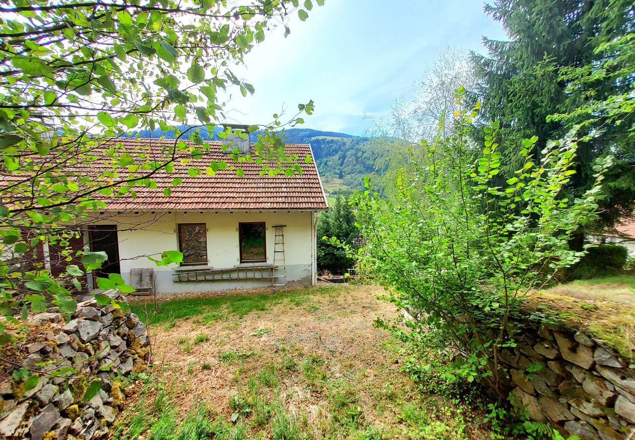 Maison à La Bresse - La Parenthèse, Calme et jolie vue