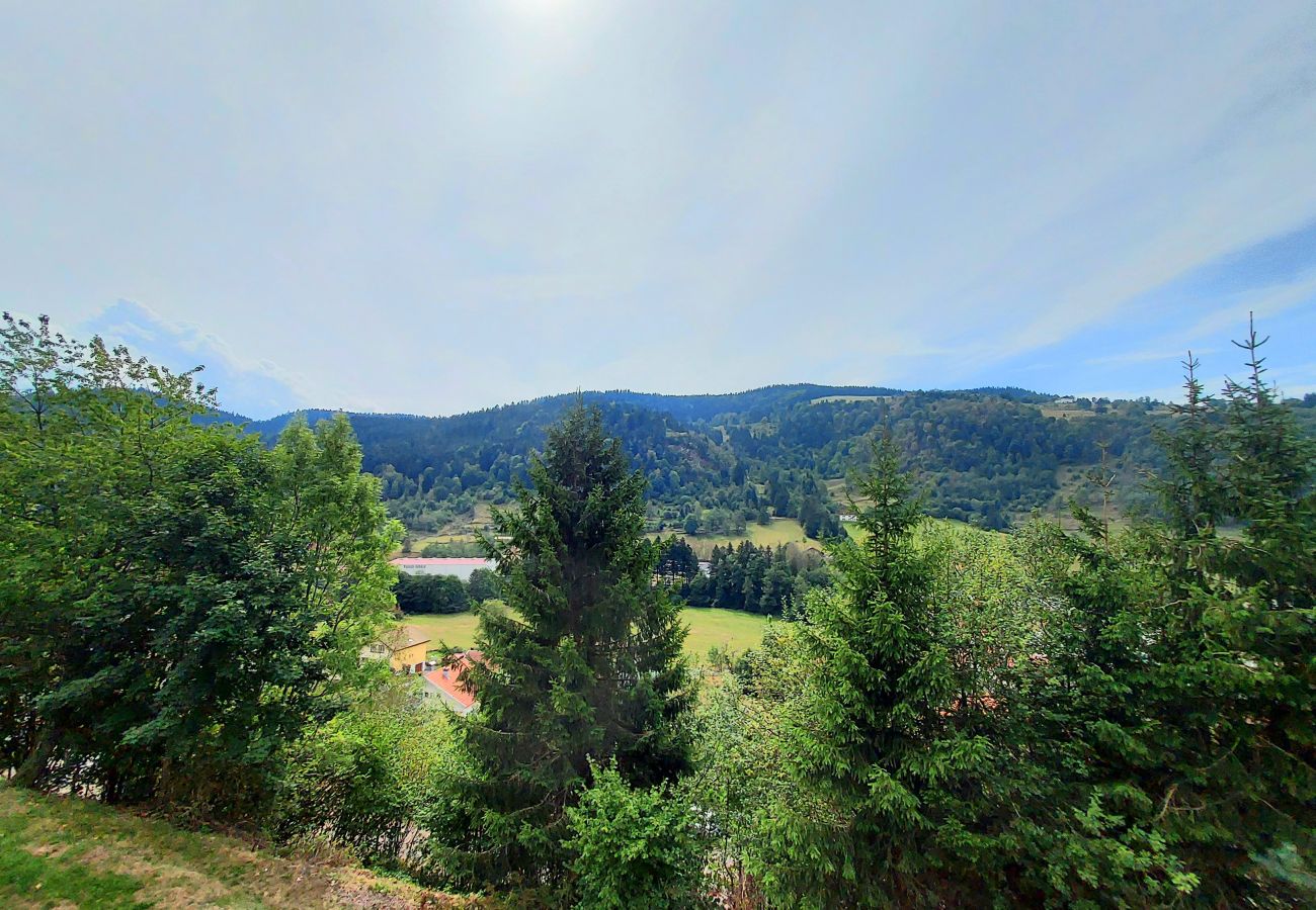 Maison à La Bresse - La Parenthèse, Calme et jolie vue