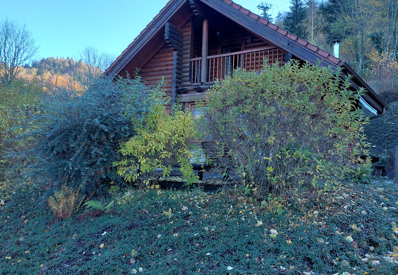 Chalet à Basse-sur-le-Rupt - Le chalet de La Burotte