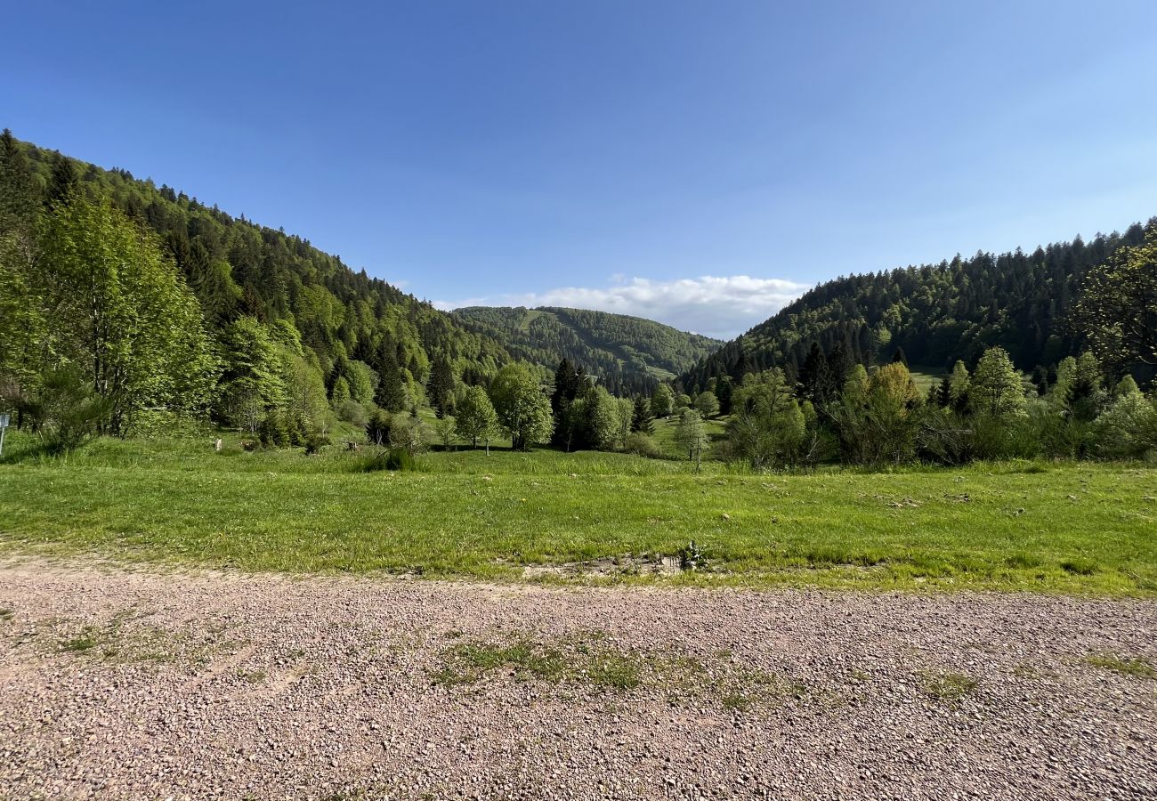 Studio à La Bresse - Le Studio du Fondeur, La Bresse Hohneck