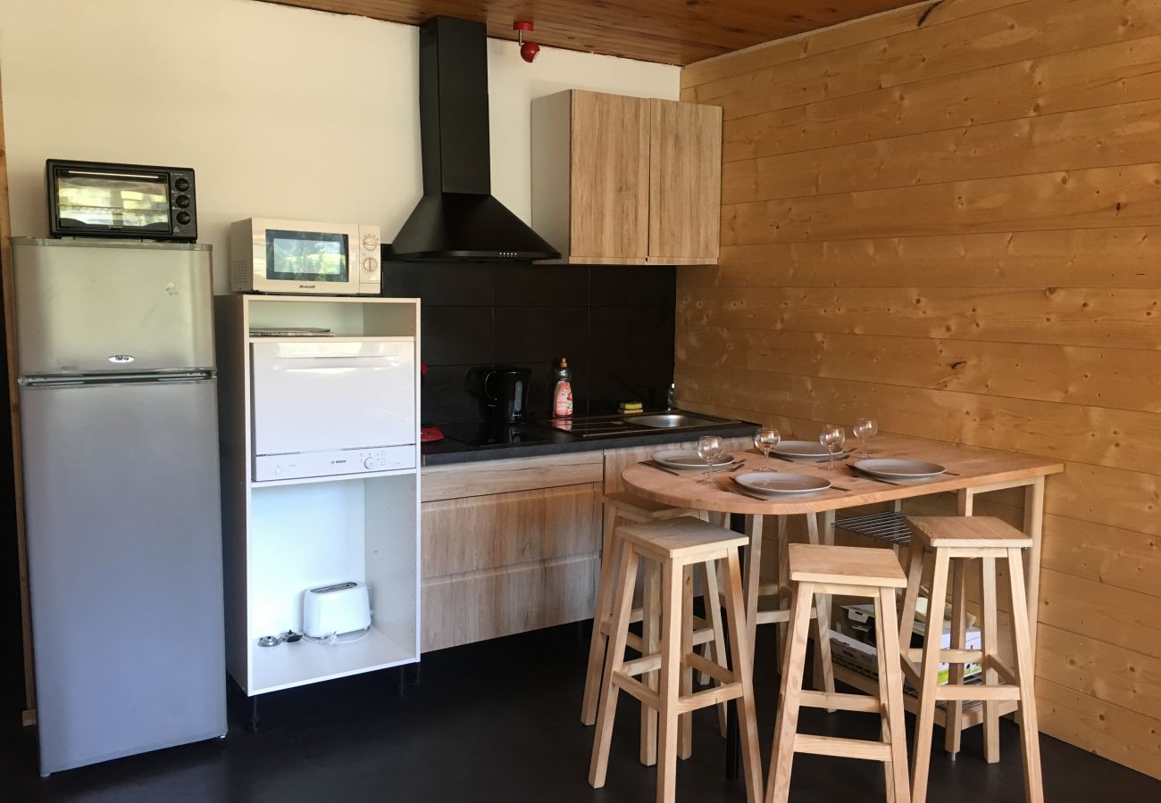 Studio in La Bresse - Le Chitelet 215, appartement vue pistes Hohneck