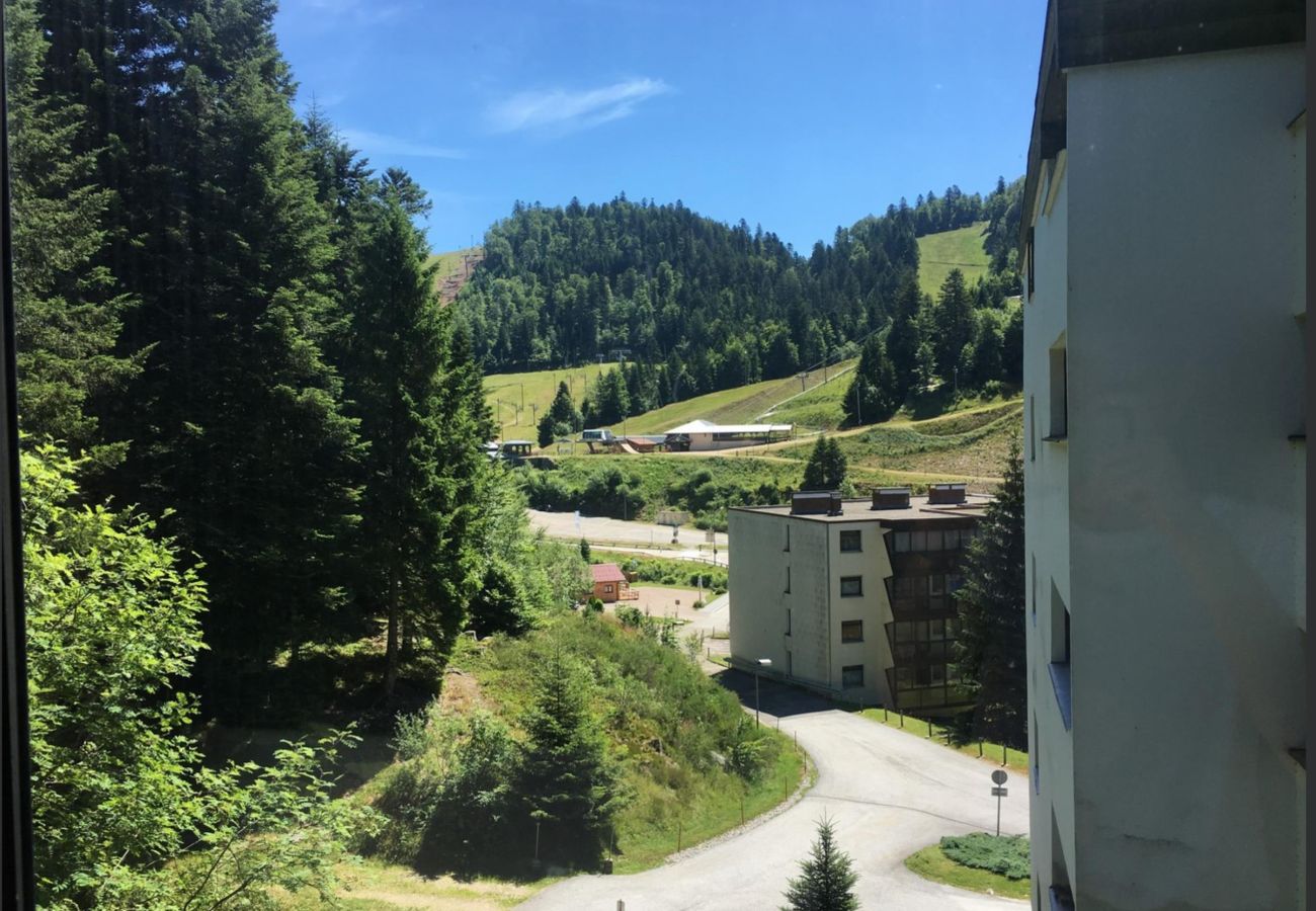 Studio in La Bresse - Le Chitelet 215, appartement vue pistes Hohneck