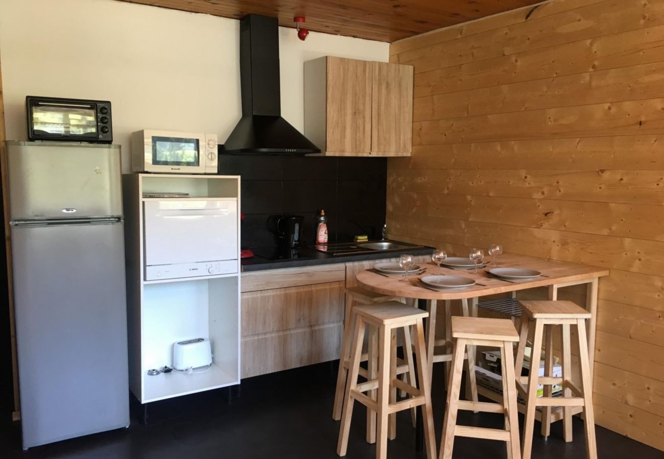 Studio in La Bresse - Le Chitelet 215, appartement vue pistes Hohneck