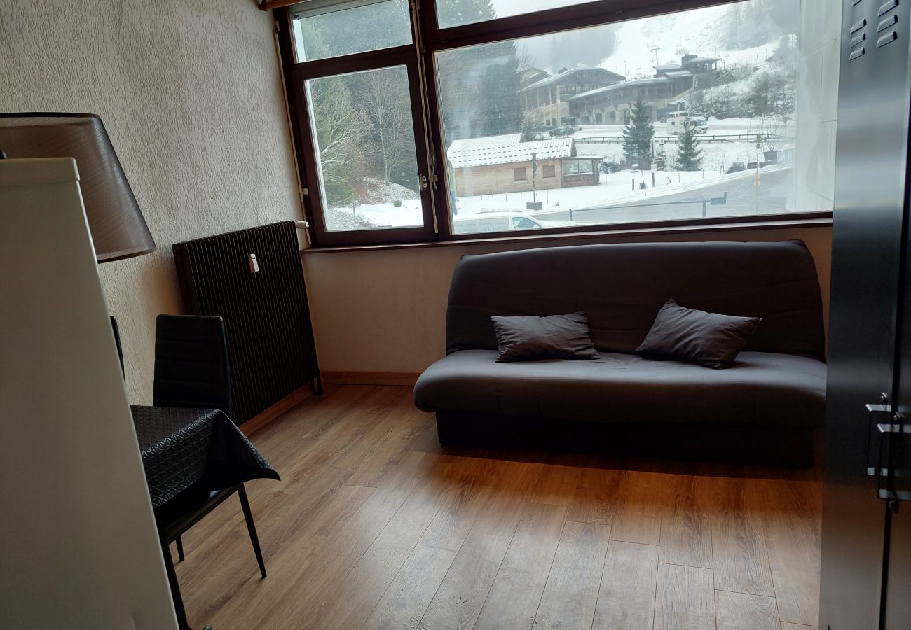 Studio in La Bresse - Le 8bis, vue pistes