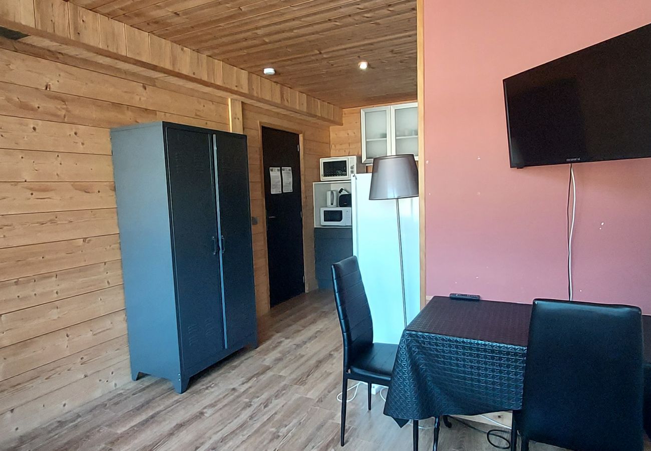 Studio in La Bresse - Le 8bis, vue pistes