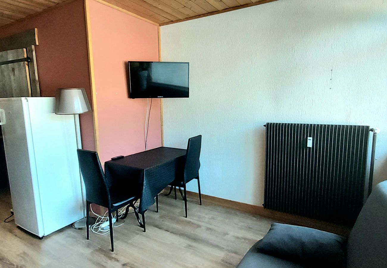 Studio in La Bresse - Le 8bis, vue pistes