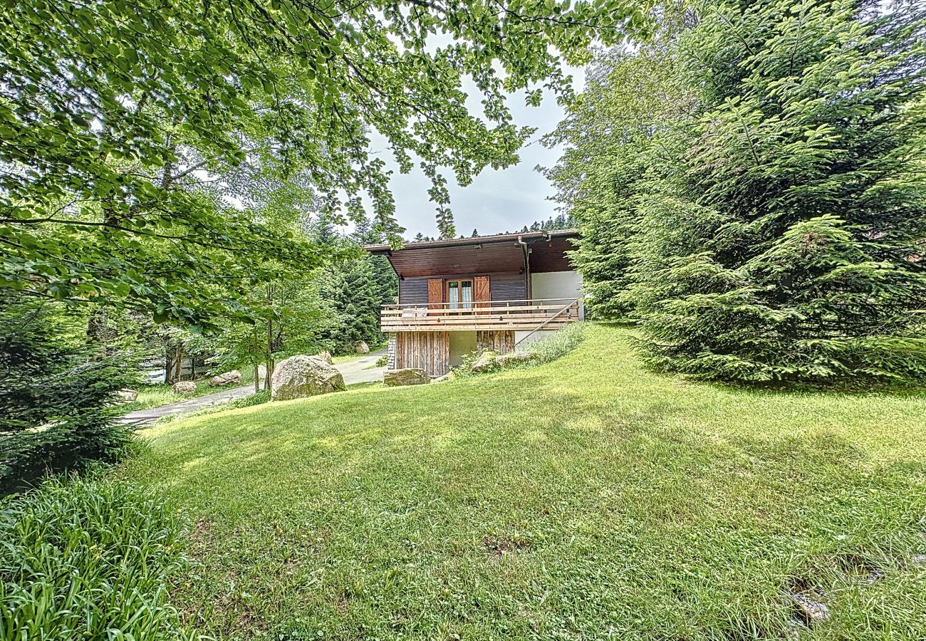 Chalet in La Bresse - Chalet des Belles Roches