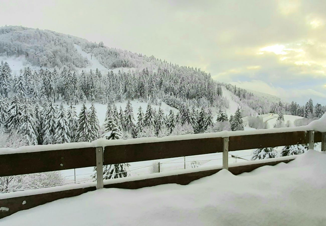 Appartement in La Bresse - Les Oursons du Hohneck