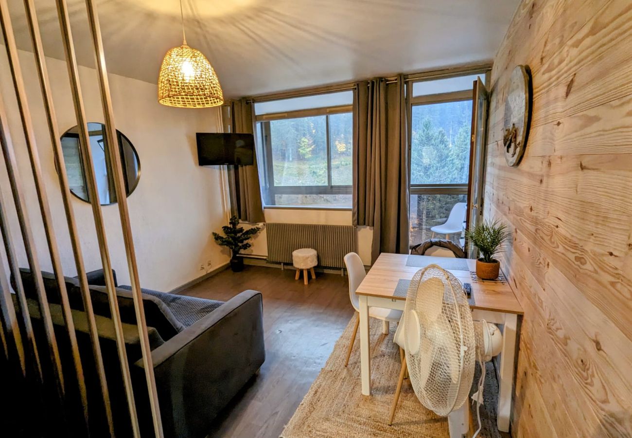 Studio in La Bresse - Le 307, Vue pistes La Bresse Hohneck